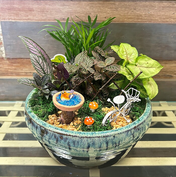 10&quot; Fairy Garden