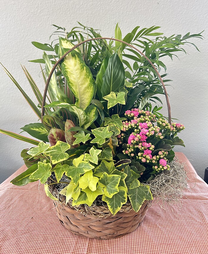 12&quot; Dishgarden Basket