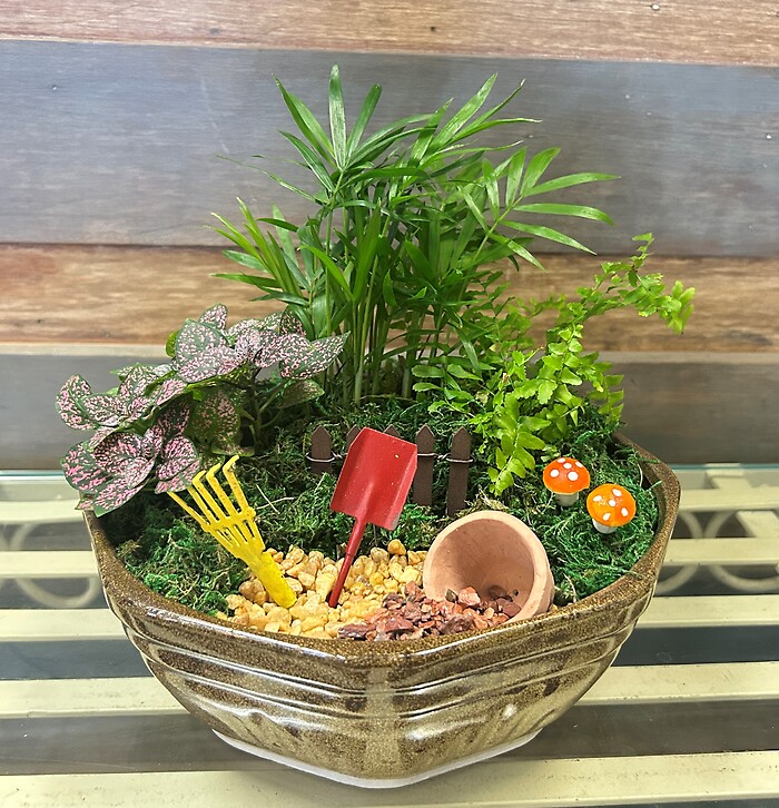8&quot; Fairy Garden