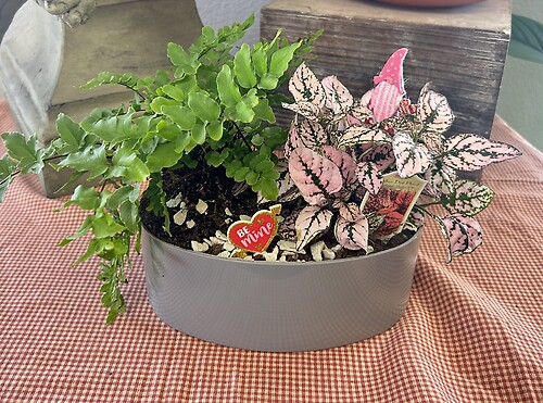 Together Dishgarden