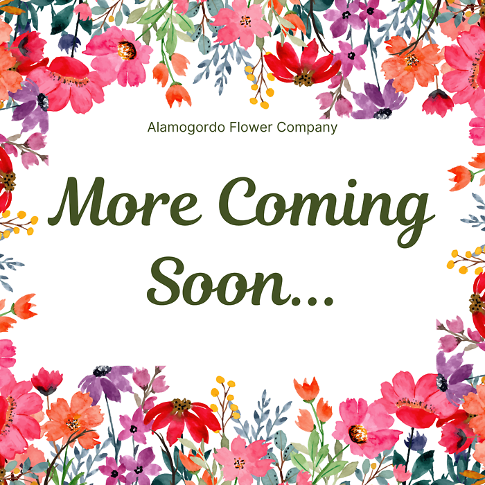 More Coming Soon!