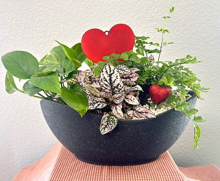 Hearts Dishgarden